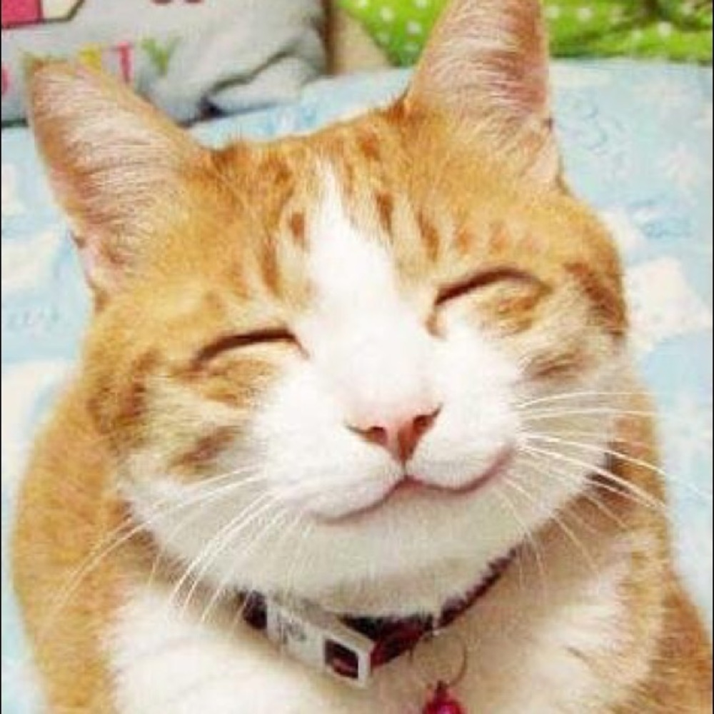 Meet your Posher, Janae